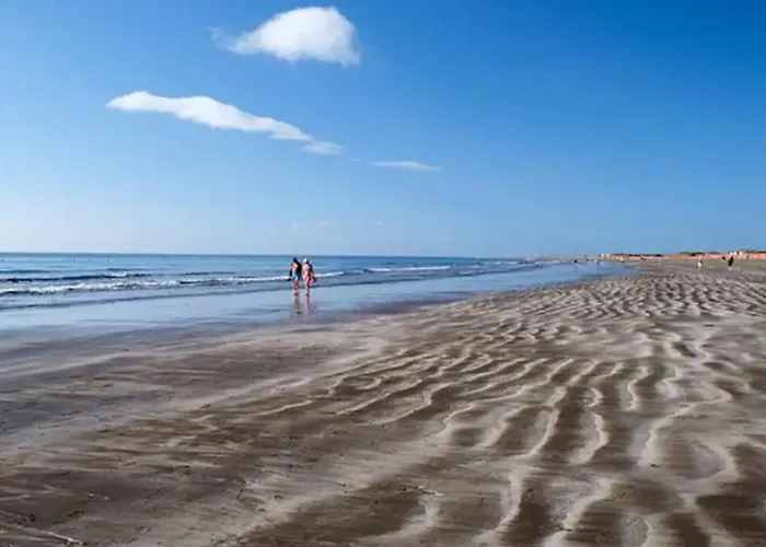 Apartmán Amplio En El Centro